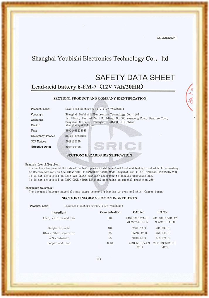 SDS英文-3