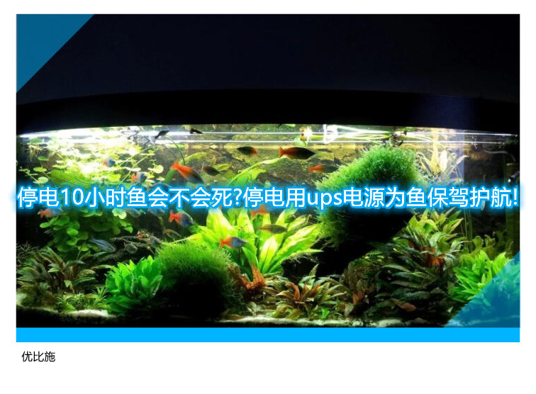 停電10小時魚會不會死?停電用ups電源為魚保駕護航!